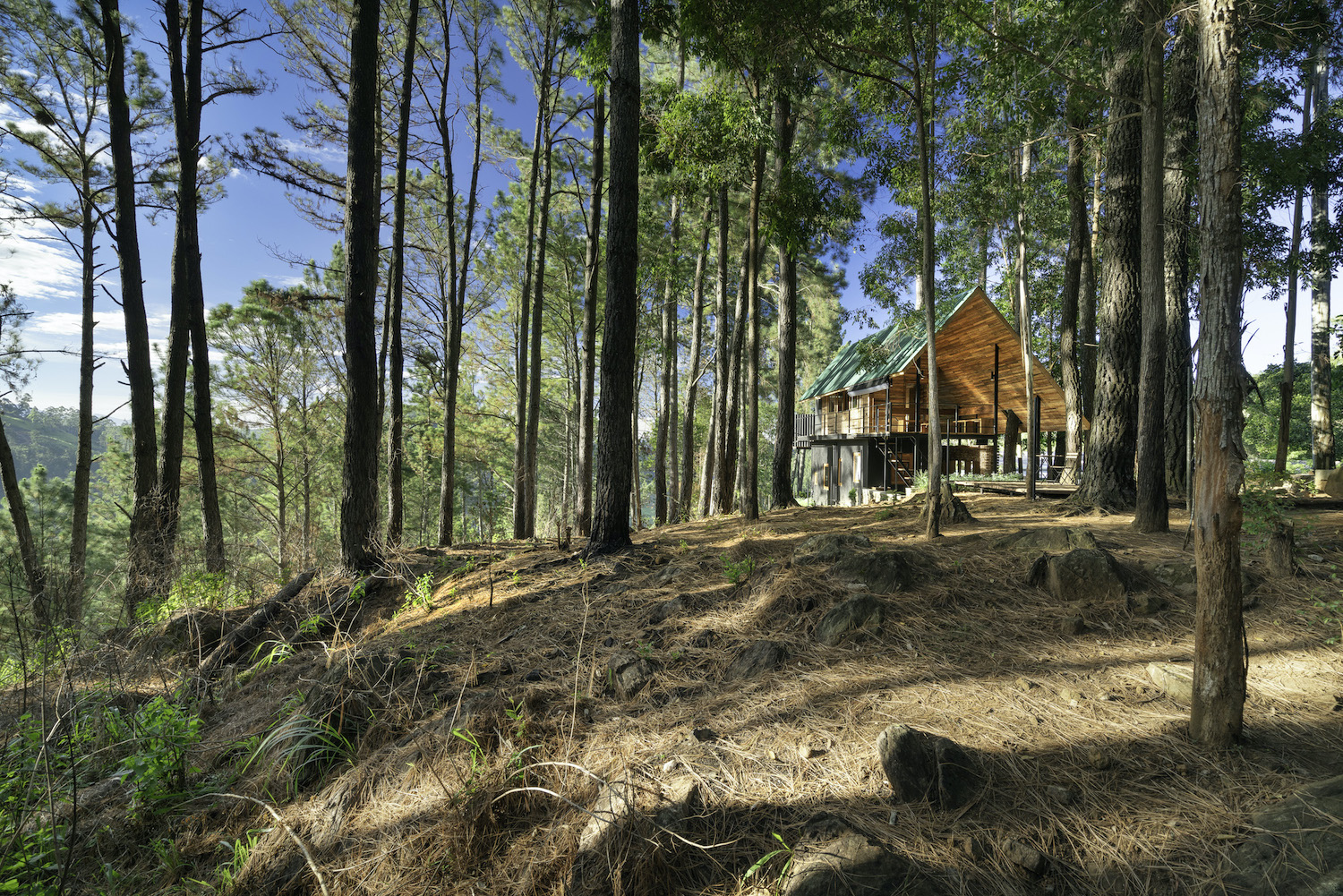 a cottage hoмe hidden aмong pine trees of Sri Lanka forest 