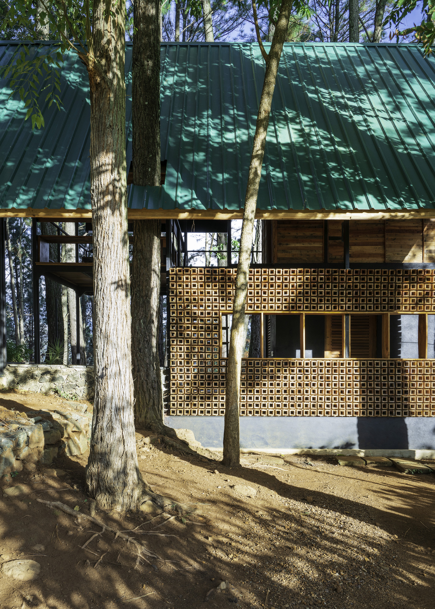 house surrounded with pine trees at forest 