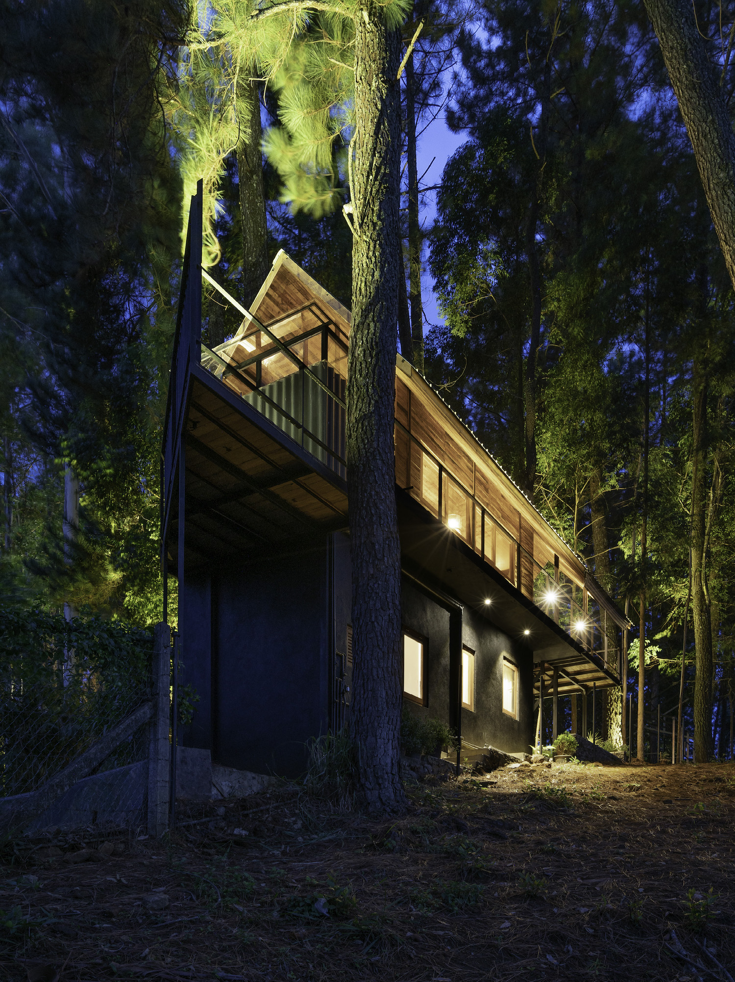 cottage house surrounded with trees at night 