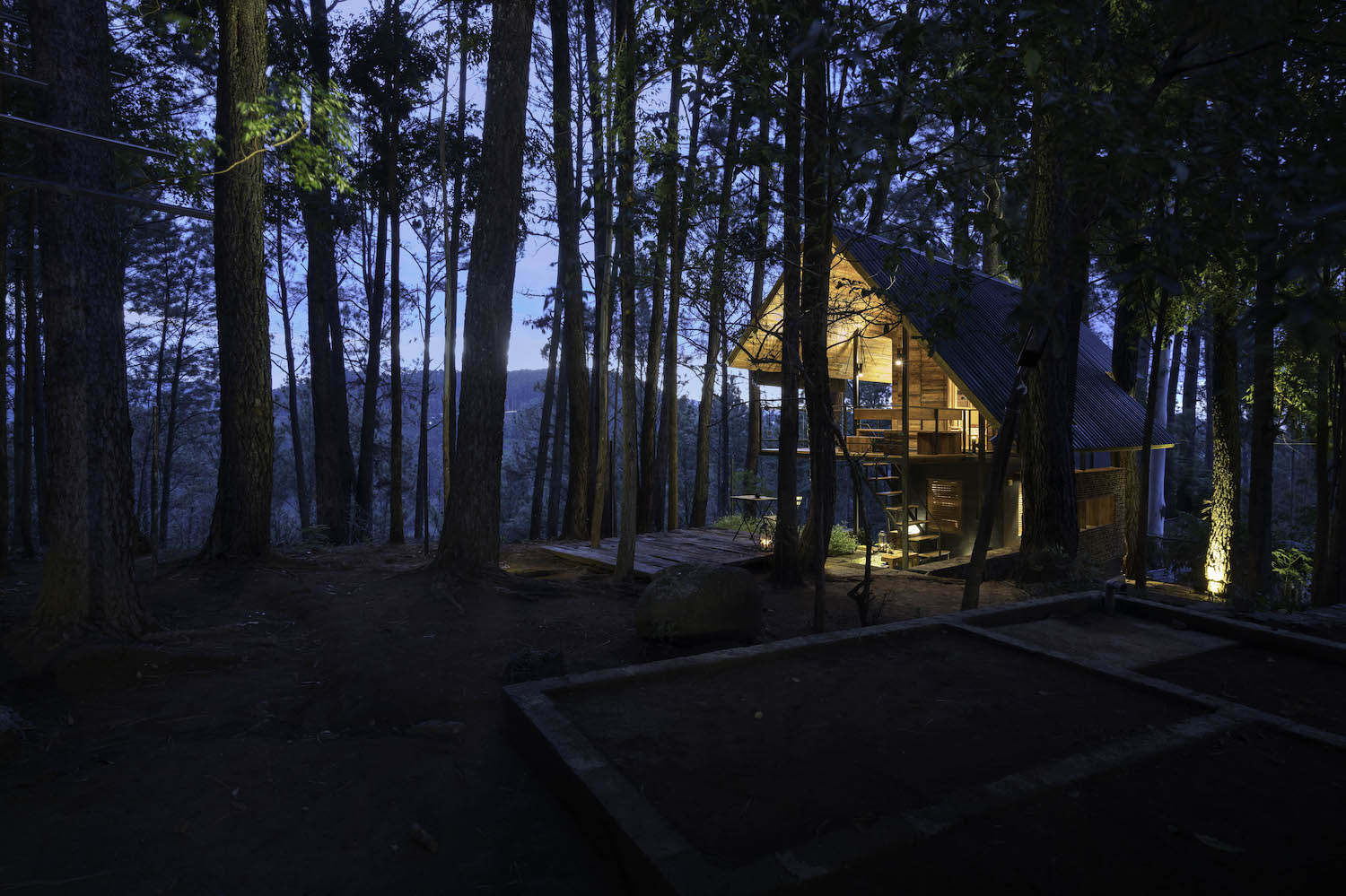 house surrounded with pine trees 