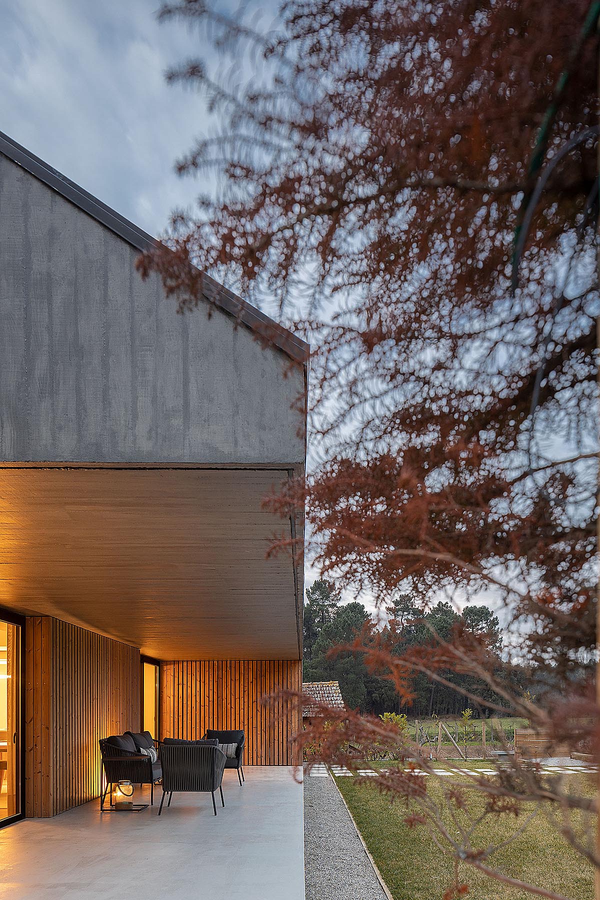 modern house with garden at backyard 