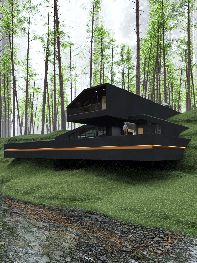 black villa hides among pine trees 