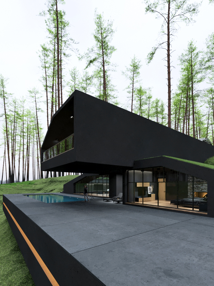 forest black house with swimming pool 