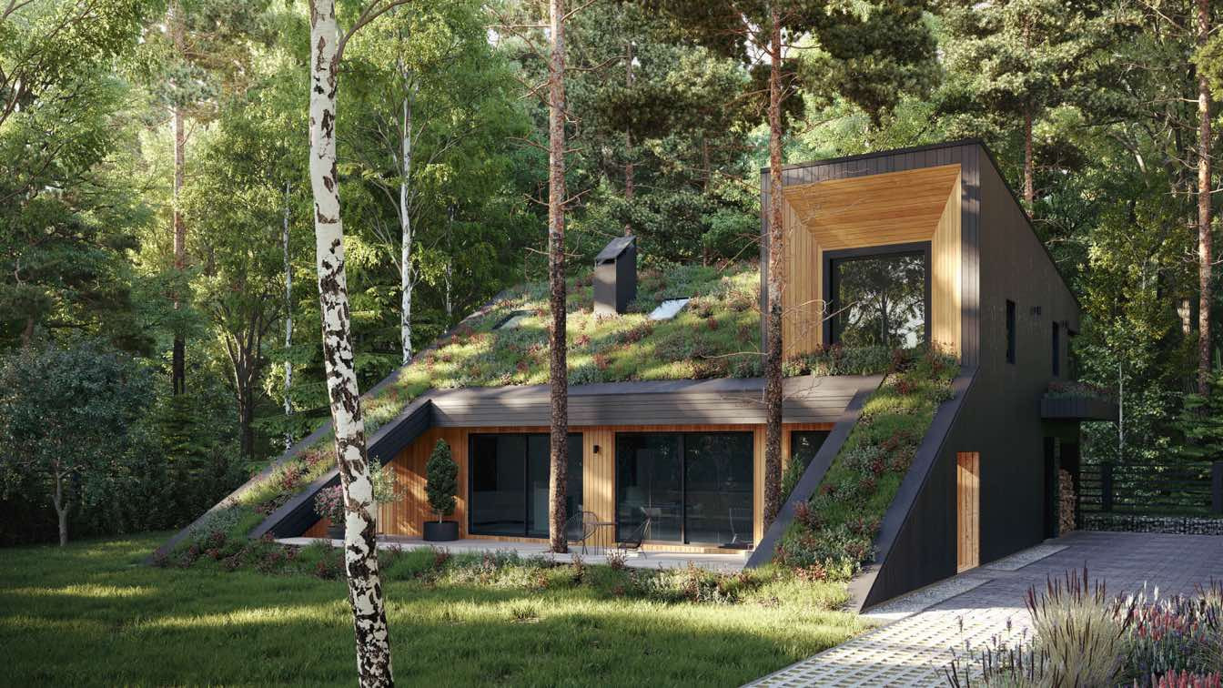 smart home with green roof