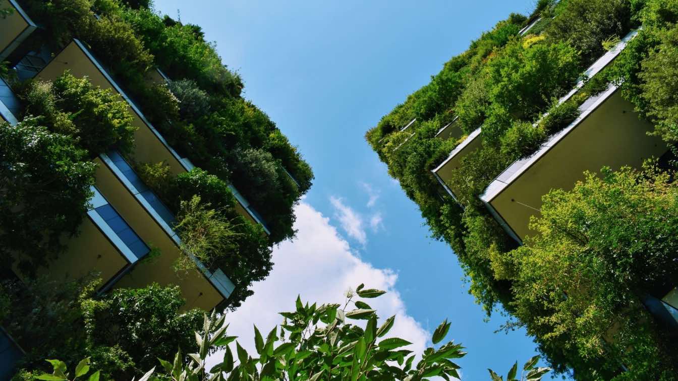Sustainable Architecture: Then and Now|Articles