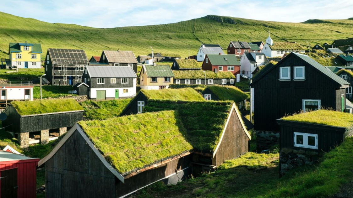 green-roofs-why-you-must-consider-the-idea-of-green-roofs-leaf-lette