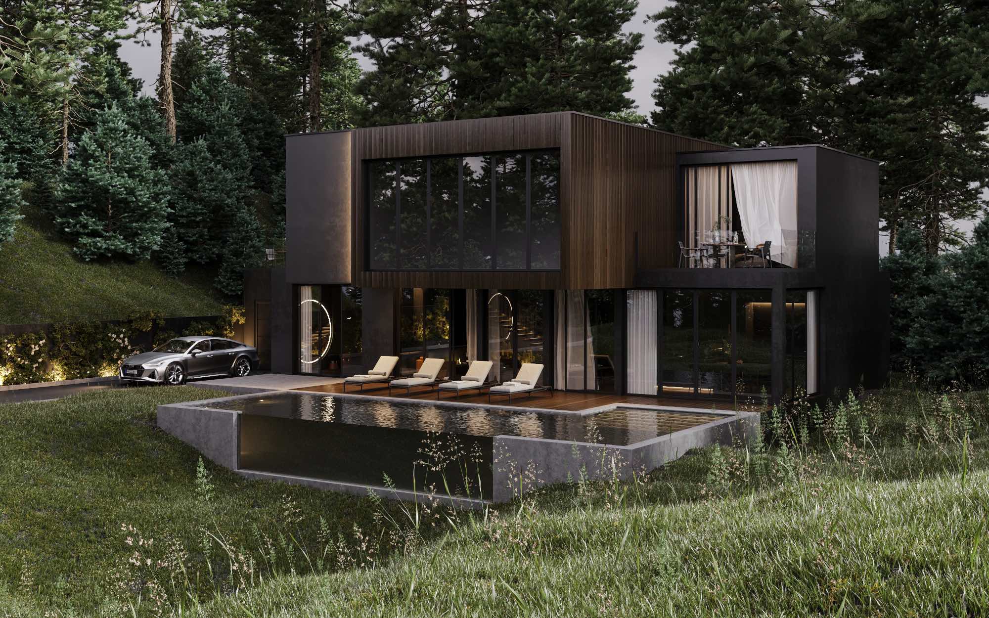 Black House In The Woods United States Villa