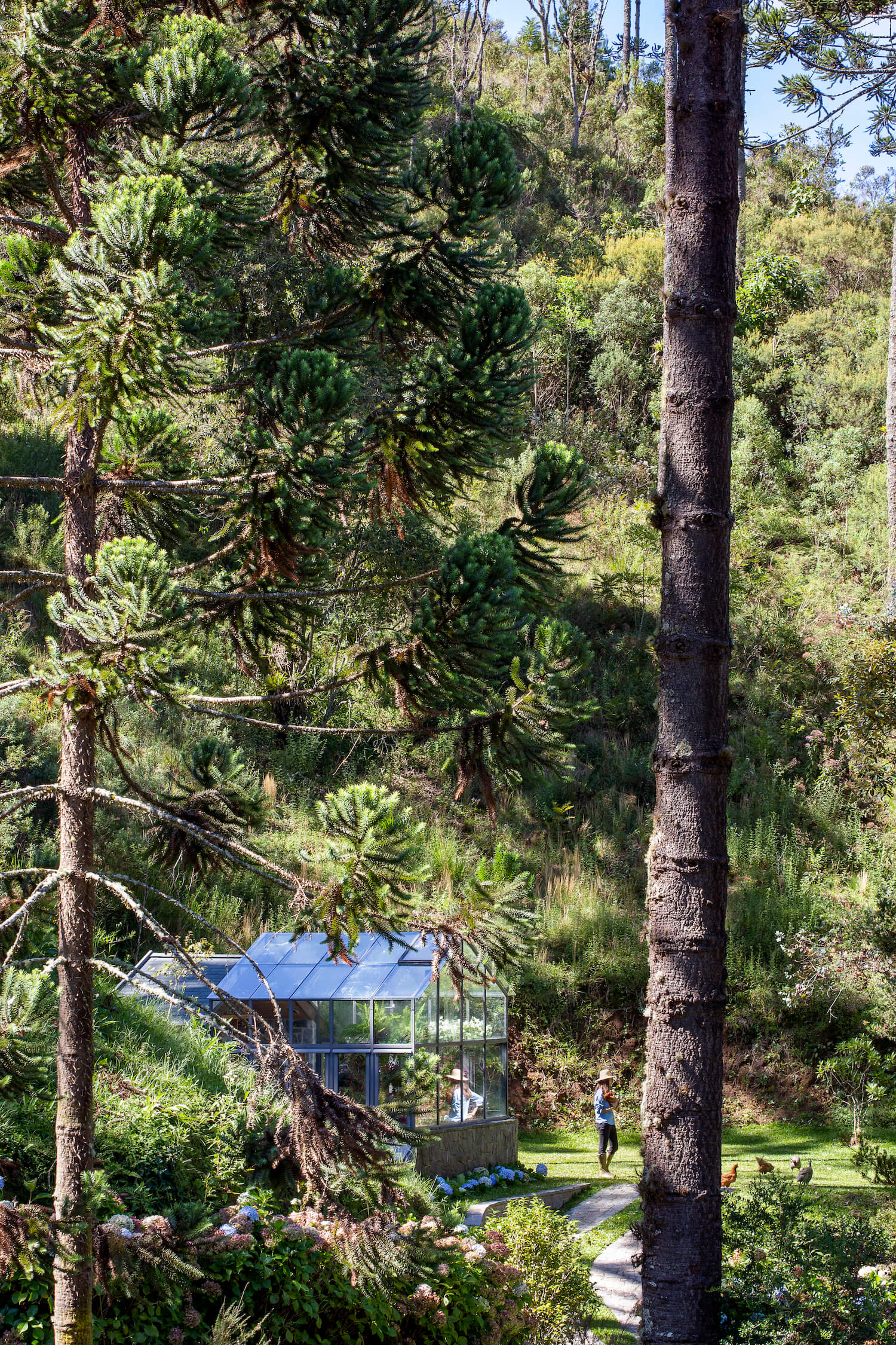 Galería de Invernadero Araucaria / Angá Arquitetura - 5