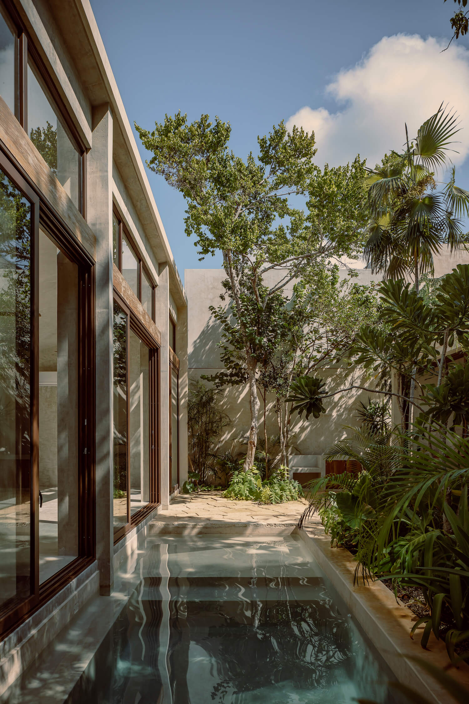 Tropical House / Jaque Studio