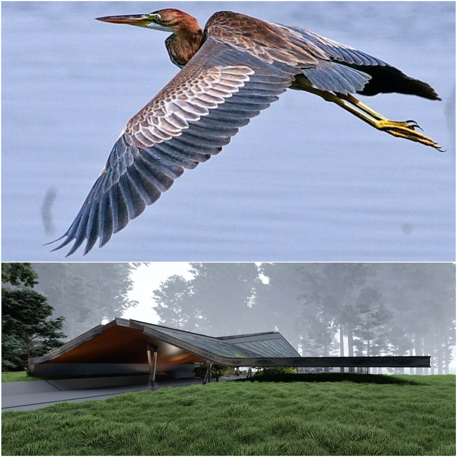 Heron bird shaped house 