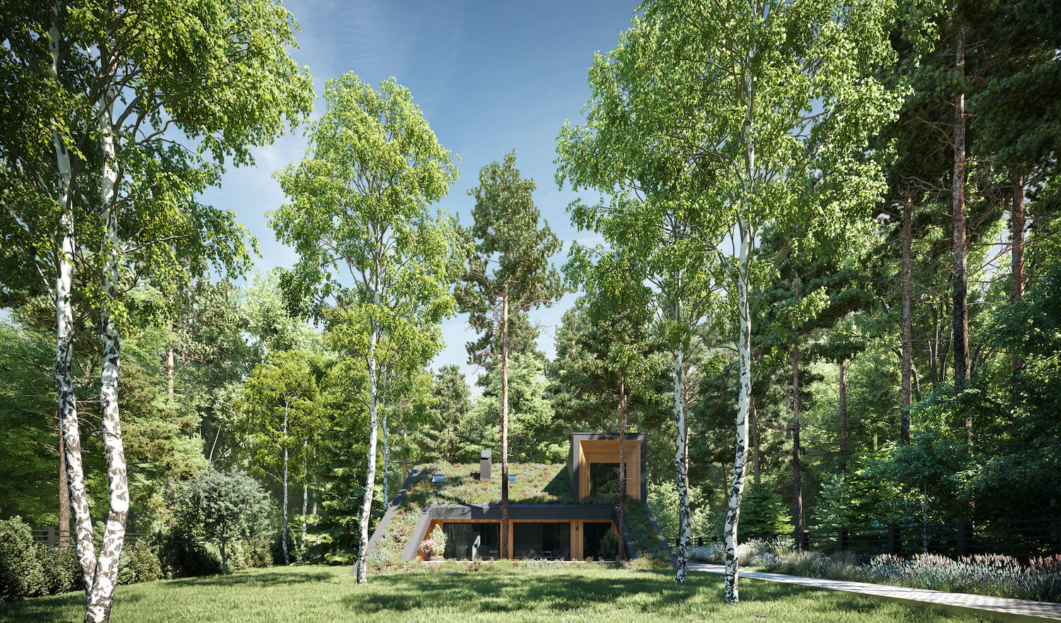 forest house with green roof 