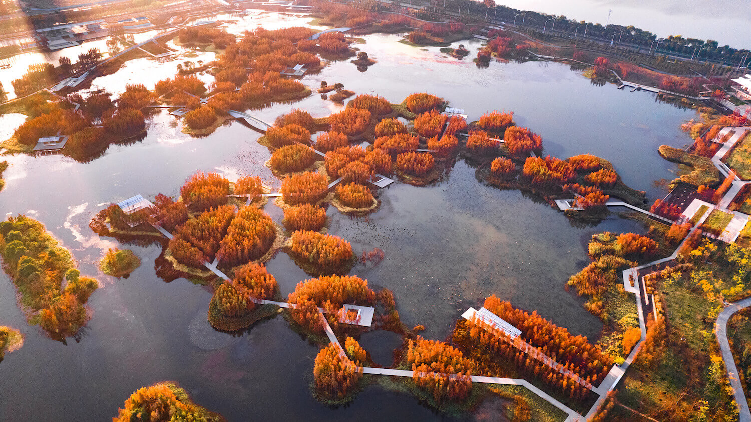 Fish Tail Park: The Floating Forest in Nanchang City by Turenscape